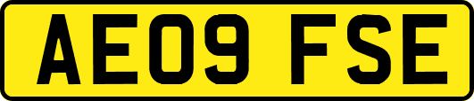 AE09FSE