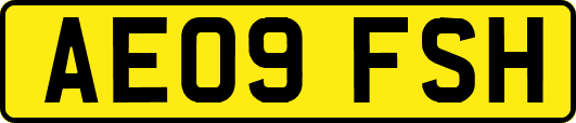 AE09FSH