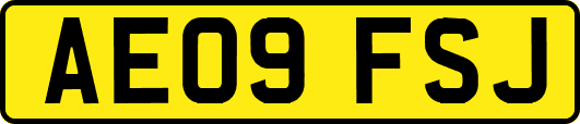AE09FSJ