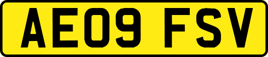 AE09FSV