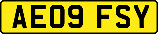 AE09FSY
