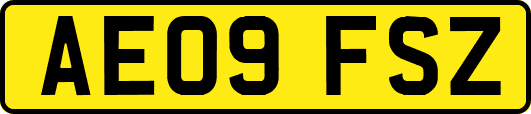 AE09FSZ