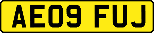 AE09FUJ
