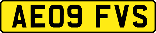 AE09FVS