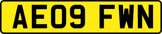 AE09FWN