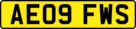 AE09FWS