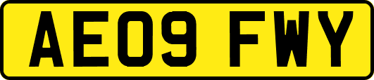 AE09FWY
