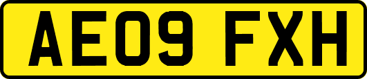 AE09FXH