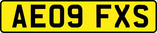 AE09FXS