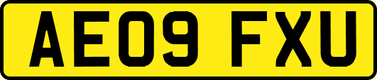 AE09FXU