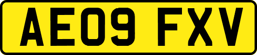 AE09FXV