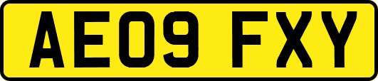 AE09FXY