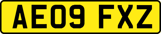 AE09FXZ