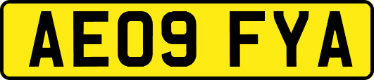 AE09FYA