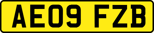 AE09FZB