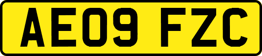 AE09FZC