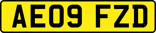 AE09FZD