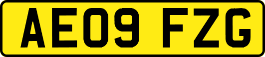 AE09FZG