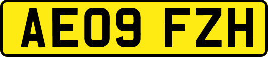 AE09FZH