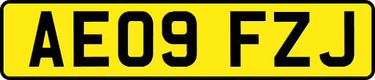 AE09FZJ