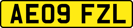 AE09FZL