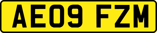 AE09FZM