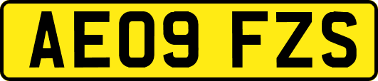 AE09FZS