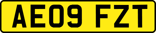 AE09FZT
