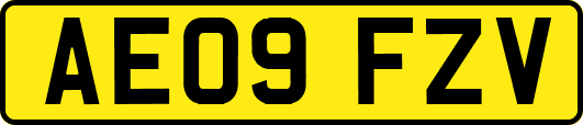 AE09FZV