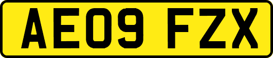 AE09FZX