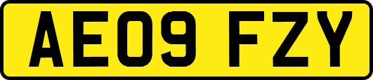 AE09FZY