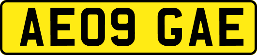 AE09GAE