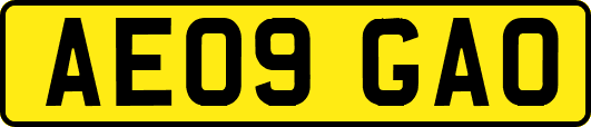 AE09GAO