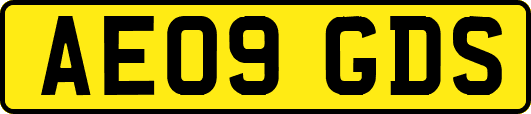 AE09GDS