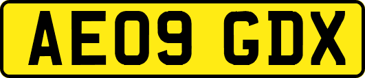 AE09GDX