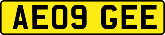 AE09GEE