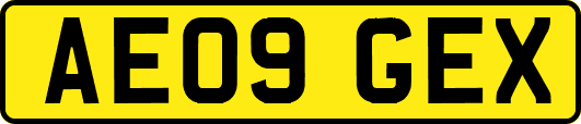 AE09GEX