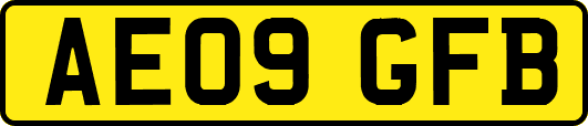 AE09GFB
