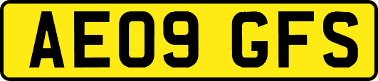 AE09GFS