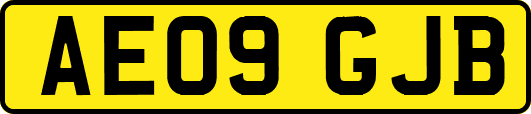 AE09GJB