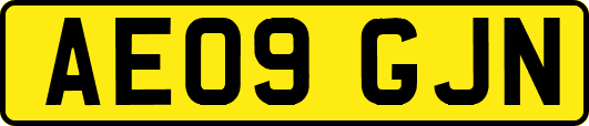 AE09GJN