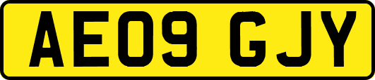 AE09GJY