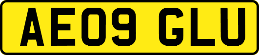 AE09GLU