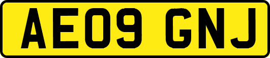 AE09GNJ
