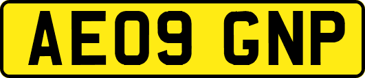 AE09GNP