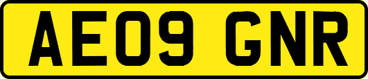 AE09GNR
