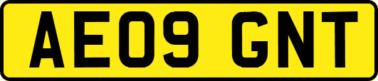 AE09GNT