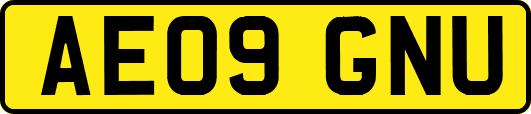AE09GNU