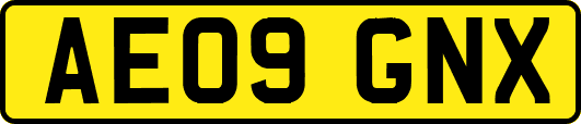 AE09GNX