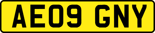 AE09GNY